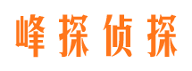 龙凤市场调查